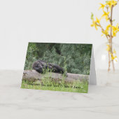 Nehmen Sie einfach 2 Karte (Gelbe Blume)