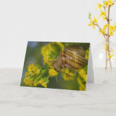Nehmen Sie es einfach (Schnecke auf gelbem Karte (Gelbe Blume)