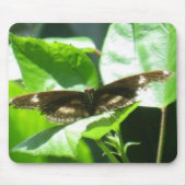 Nehmen Sie Flug Mousepad (Vorne)