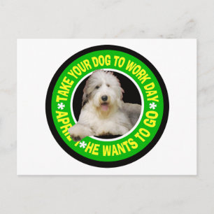 NEHMEN SIE IHRE BEARDED COLLIE ZUM ARBEITSTAG POSTKARTE