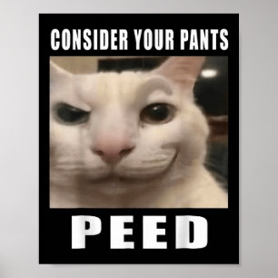 Nehmen Sie Ihre Pants Ping Alberne Katze Männer Fr Poster