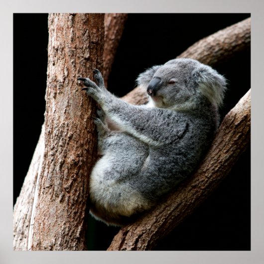 NEHMEN SIE IHRE ZEIT POSTER (Vorne)