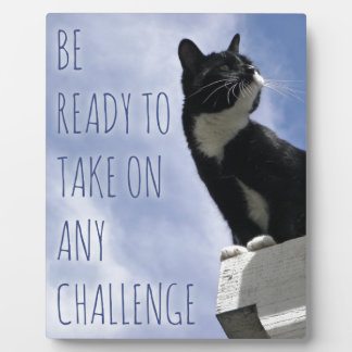 Nehmen Sie jede Challenge motivierend Katze Fotoplatte