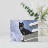 Nehmen Sie jede Challenge motivierend Katze Postkarte (Stehend Vorderseite)
