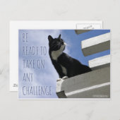 Nehmen Sie jede Challenge motivierend Katze Postkarte (Vorne/Hinten)