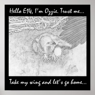 NEHMEN SIE MEINE WING LET'S GO ZUHAUSE RETT WILDLI POSTER