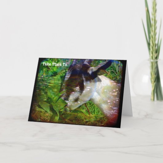 Nehmen Sie sich Zeit, um die Blume zu stoppen und Karte (Vorderseite)