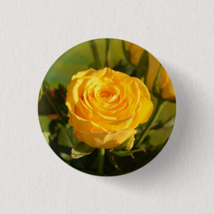 Nehmen Sie sich Zeit, um die gelbe Rose zu riechen Button