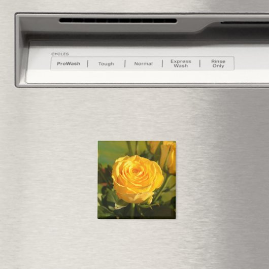 Nehmen Sie sich Zeit, um die gelbe Rose zu riechen Magnet (In Situ (Geschirrspüler))