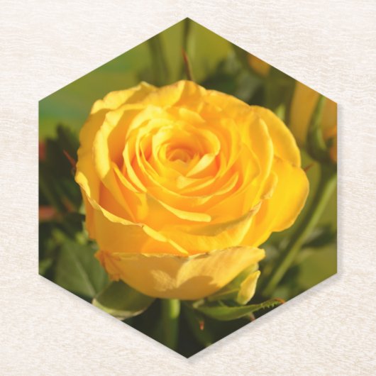 Nehmen Sie sich Zeit, um die gelbe Rose zu riechen Untersetzer (Vorderseite)