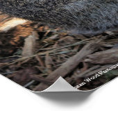 Nehmen Sie sich Zeit, um die Rose Poster zu rieche (Ecke)