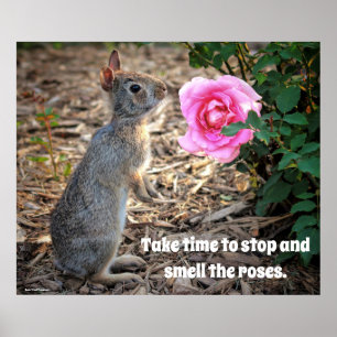Nehmen Sie sich Zeit, um die Rose Poster zu rieche