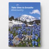 Nehmen Sie sich Zeit zum Brechen Fotoplatte (Vorderseite)