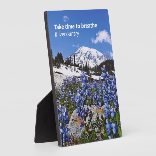 Nehmen Sie sich Zeit zum Brechen Fotoplatte (Seite)