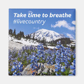 Nehmen Sie sich Zeit zum Brechen Magnet (Vorne)