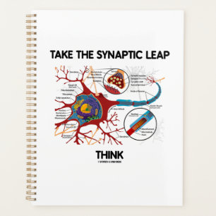 Nehmen wir den Synapsen-Sprung Think Neuron Synaps Planer