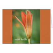 Nehmen wir die lilies fade Parakaleo-Notizkarte (Vorderseite (Horizontal))