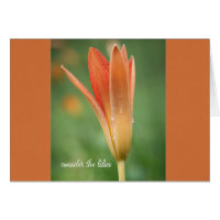 Nehmen wir die lilies fade Parakaleo-Notizkarte