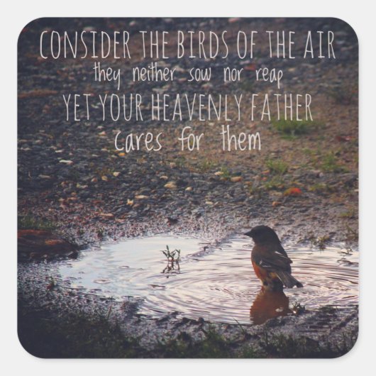 Nehmen wir die Vögel der Luftkleber. Quadratischer Aufkleber (Vorderseite)