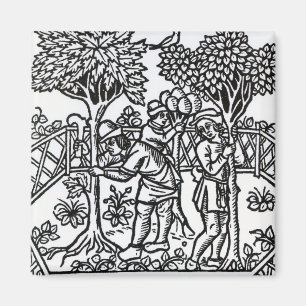 Neigen der Reben Magnet