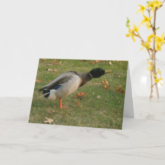 "Neighborhood Mallard Shaking" Dankeschön Karte (Gelbe Blume)