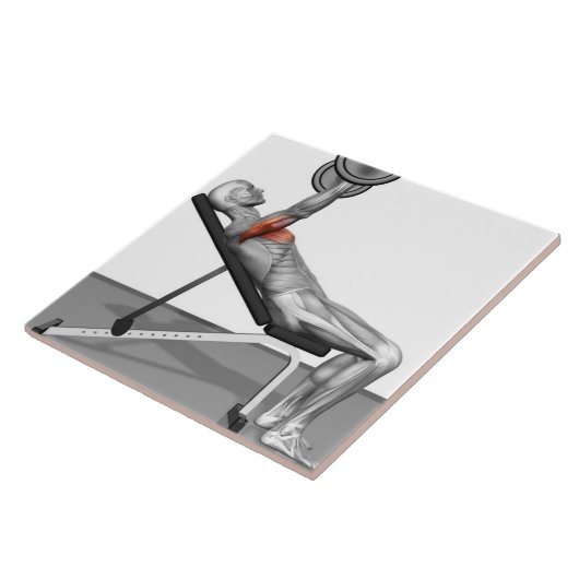 Neigungs-Bankdrücken 3 Fliese (Seite)