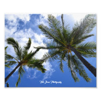 Neil Jones Fotografie - Palmen am Strand von Waiki