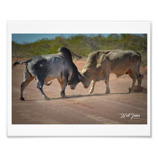 Neil Jones Fotografy - King of the Road. Fotodruck (Vorne)