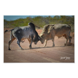 Neil Jones Fotografy - King of the Road Fotodruck