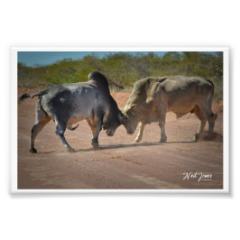 Neil Jones Fotografy - King of the Road. Fotodruck