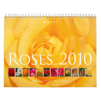(nein 1) Rosen 2010: Schöne Natur - Kalender