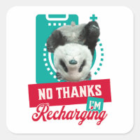 Nein danke, ich lade Panda Bear Cub Battery wieder