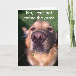 Nein, ich war nicht karte