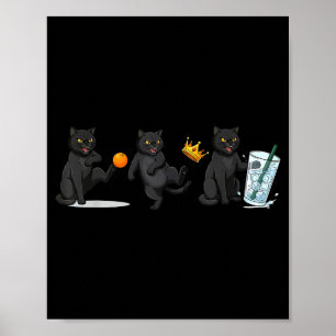 Nein, keine Könige, keine Eiskatze, lustiger polit Poster