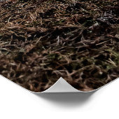 Neist Point, Insel Skye, Schottland Poster (Ecke)