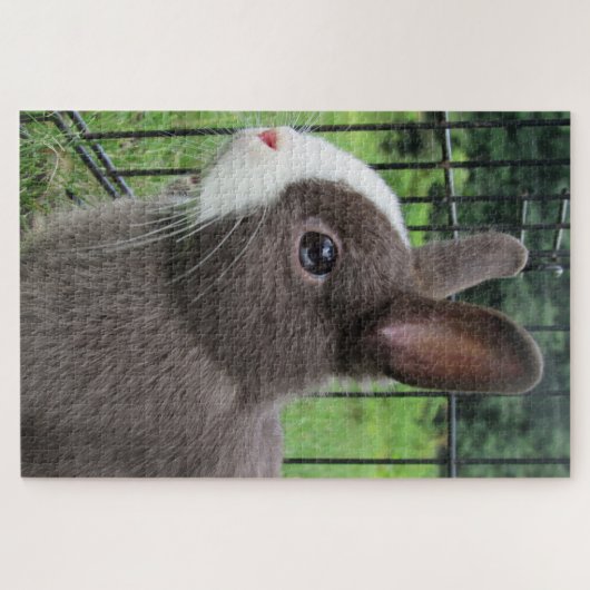 Neitherland Zwarf Pet Bunny Rabbit Jigsaw Puzzle (Horizontal)