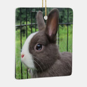 Neitherland Zwarf Pet Bunny Rabbit Keramikornament (Rechts)