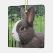 Neitherland Zwarf Pet Bunny Rabbit Keramikornament (Links)