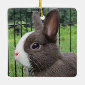 Neitherland Zwarf Pet Bunny Rabbit Keramikornament (Vorderseite)