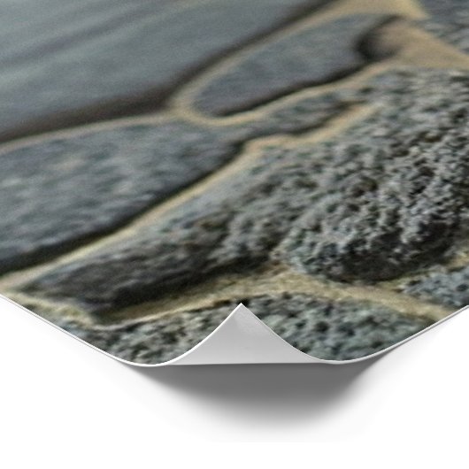 Neko Samurai Poster (Ecke)