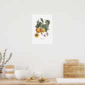 Nektarine Poster (Küche)