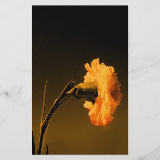 Nelke Briefpapier (Vorderseite)