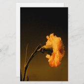 Nelke Briefpapier (Vorne/Hinten)