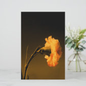 Nelke Briefpapier (Stehend Vorderseite)