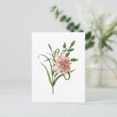 Nelke (Dianthus caryophyllus) von Redouté Postkarte (Stehend Vorderseite)