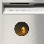 Nelke Magnet (In Situ (Geschirrspüler))