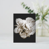 Nelke Postkarte (Stehend Vorderseite)