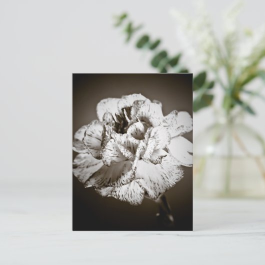 Nelke Postkarte (Stehend Vorderseite)