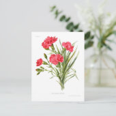 Nelke 'Queen' Postkarte (Stehend Vorderseite)