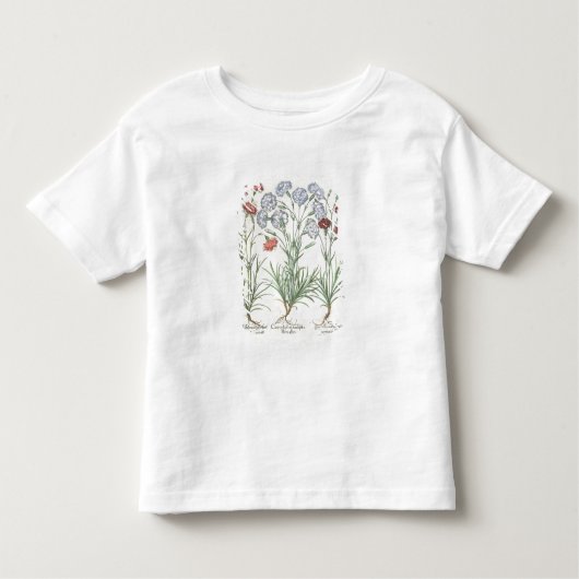 Nelken: 1. Caryophyllus multiplex flore albo,2 Kleinkind T-shirt (Vorderseite)